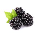 Mures -  التوت الأسود- مير 