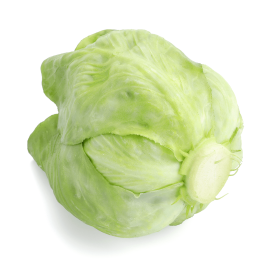 Laitue Iceberg - خس ايسبورك