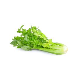 Celeri -  كرافس