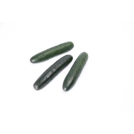 Concombre épineux - خيار شائك