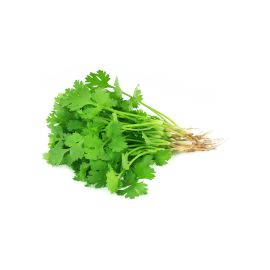Coriandre - القزبر