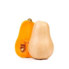 Courge Butternut - يقطينة طويلة