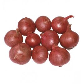 Echalote Ronde - بصلة دائرية