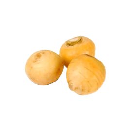 Navet Jaune - لفت اصفر