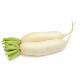Navet Blanc -  لفت أبيض