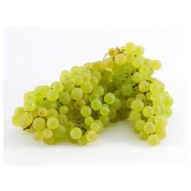 Raisin Blanc petit sans pépin - عنب صغير الأبيض بدون بذور