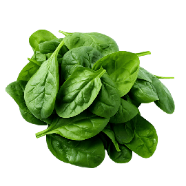 Epinards Effeuilles - أوراق سبانخ